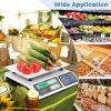 Portable Commercial Food Scale with Digital Display